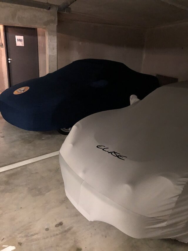 bache protection lotus exige logo